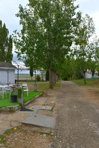 San Mames_016