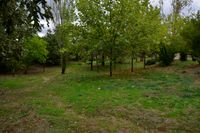 San Mames_032